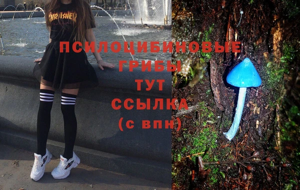 прущий лед Нефтегорск