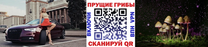 Псилоцибиновые грибы Psilocybine cubensis  где продают   Спас-Клепики 
